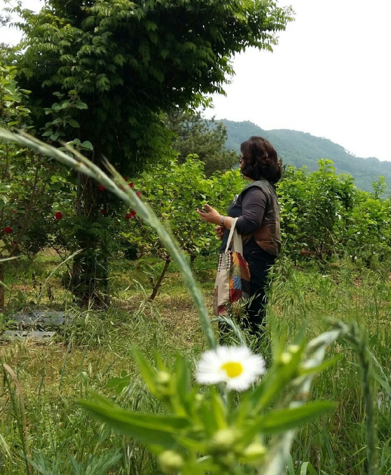 석송농장 이미지