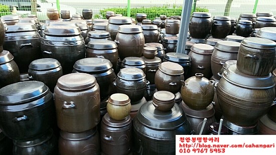 문학동항아리화분 이미지