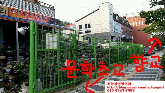문학동항아리화분 이미지