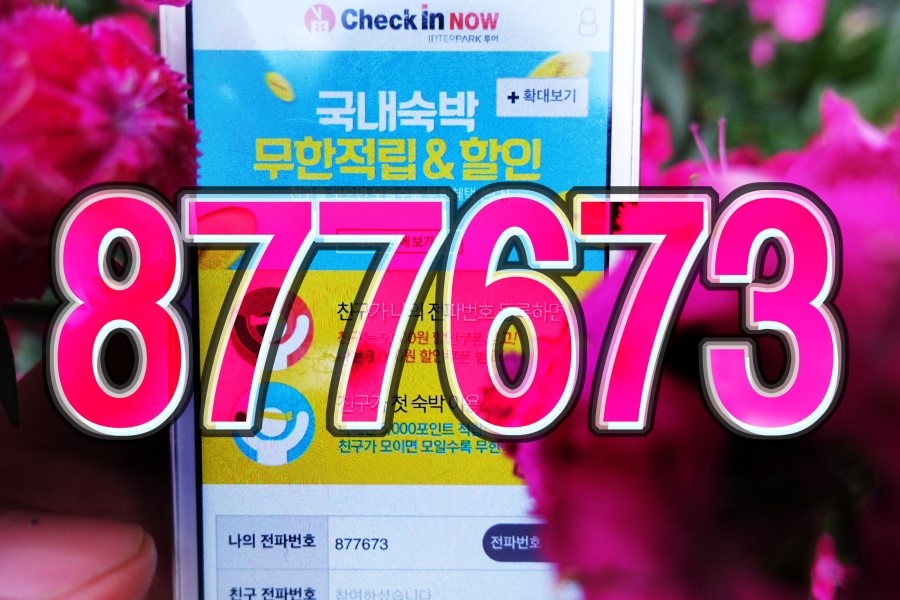나우투어 이미지