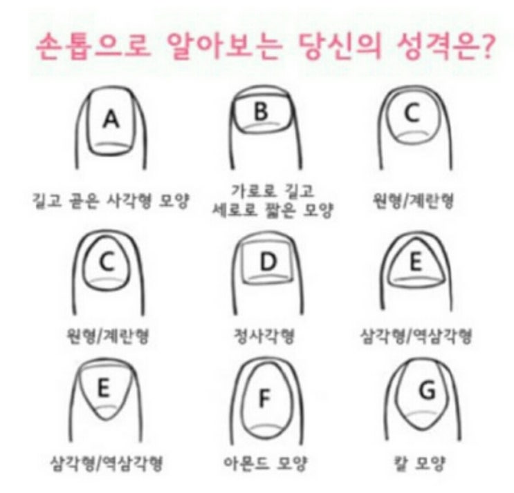 손톱모양 이미지