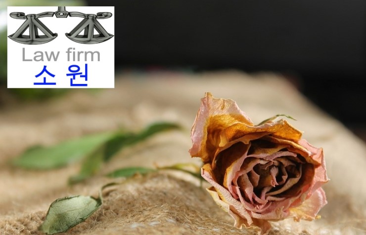 법무법인안양 이미지
