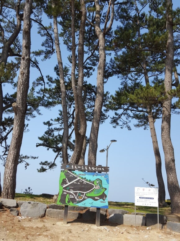 바다커피호프 이미지