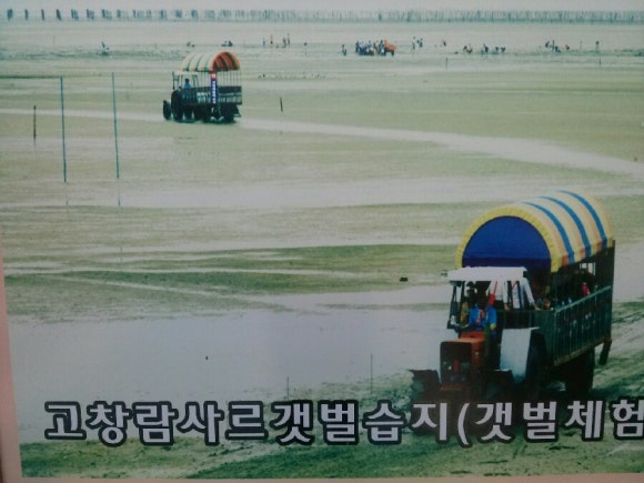 바다커피호프 이미지