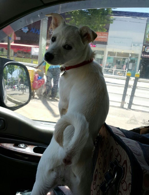 정현치과 이미지