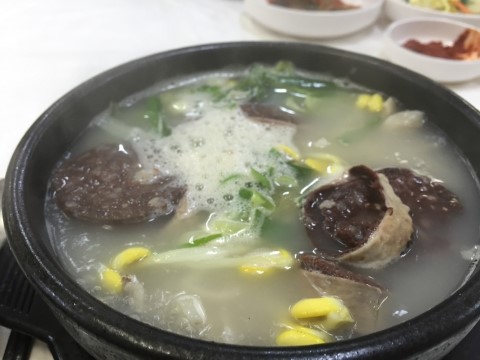 순천황우 이미지