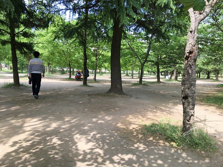 토이랜드 이미지