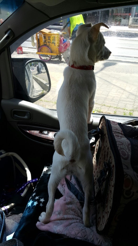 정현치과 이미지