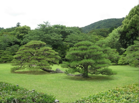 기환경 이미지