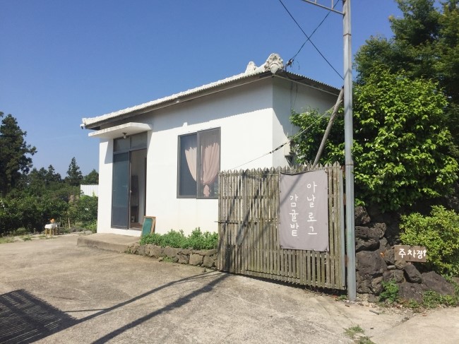 아날로그감귤밭 이미지