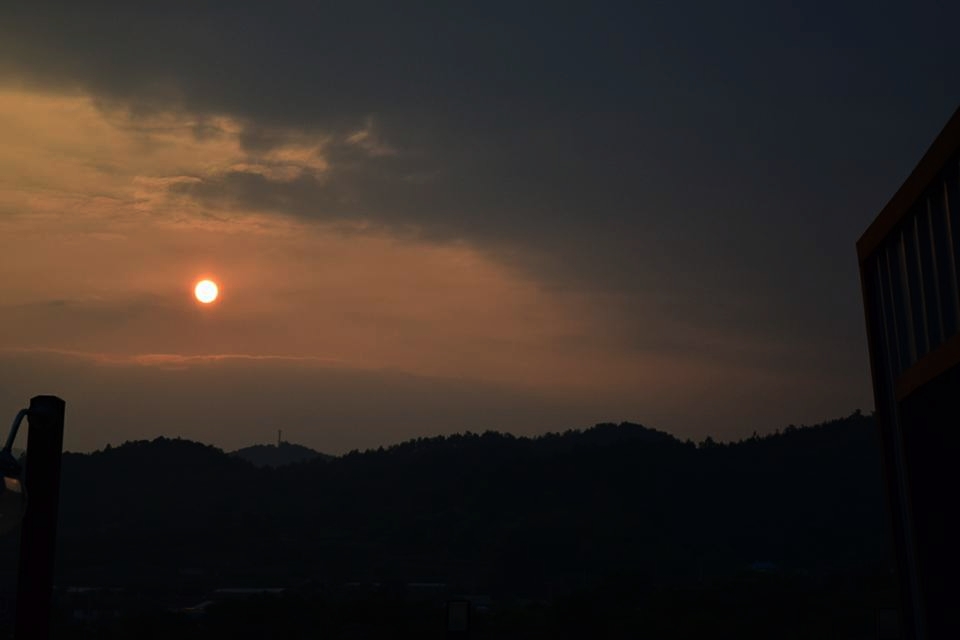 순천만놀러와1 이미지