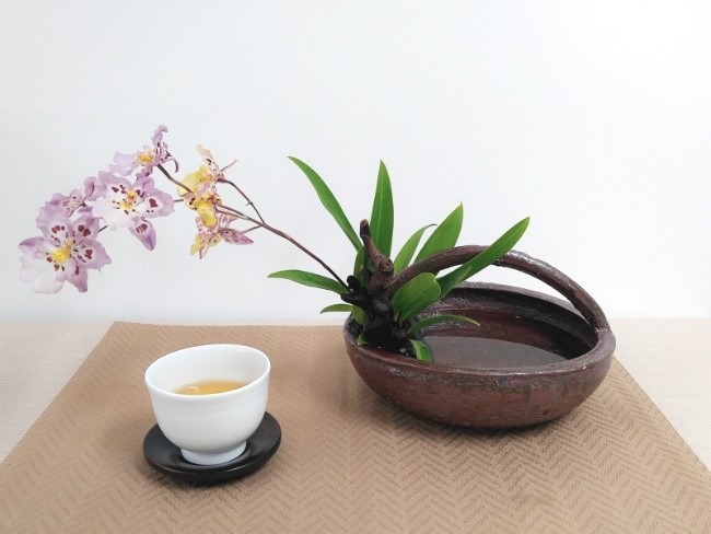 다화주 이미지