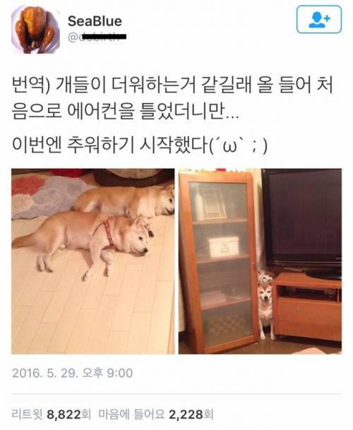 더워시 이미지