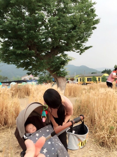 크라비앙코 이미지