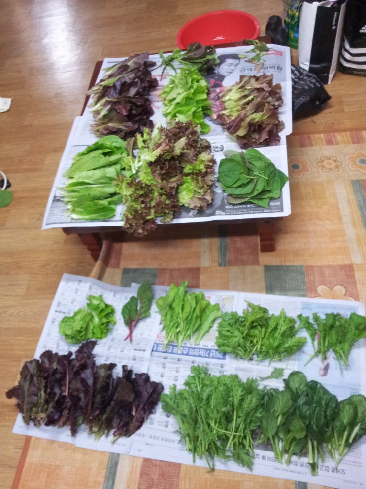 평밭농장 이미지
