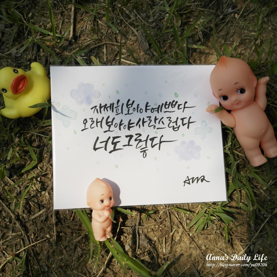 자세희 이미지