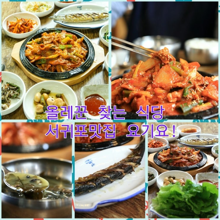 한라앤탐 이미지