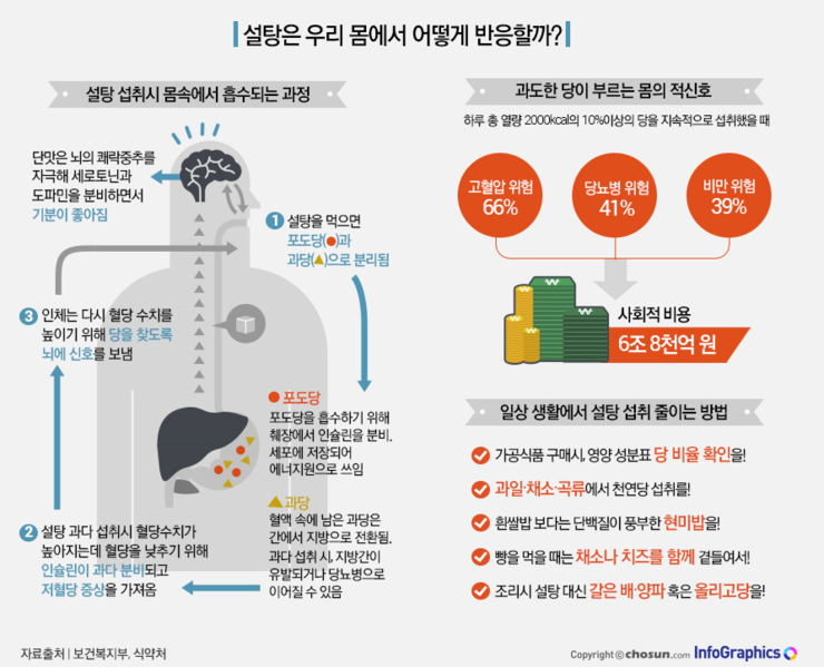 당류섭취 & 하는일 : 네이버 블로그
