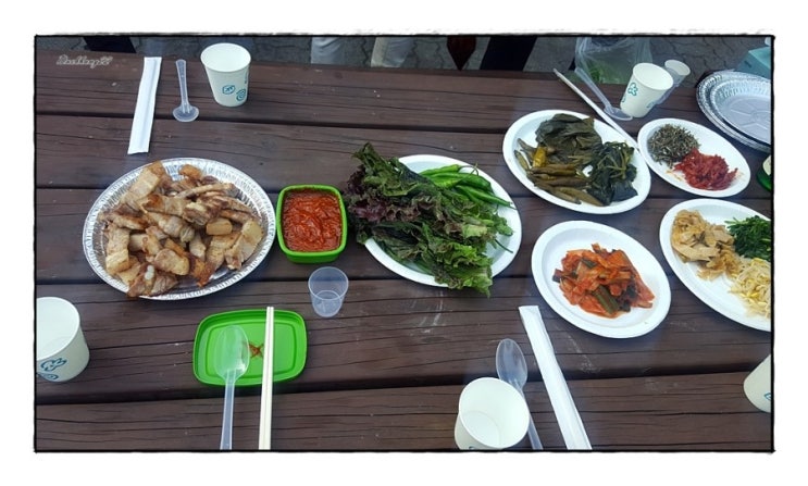천안시승마협회 이미지