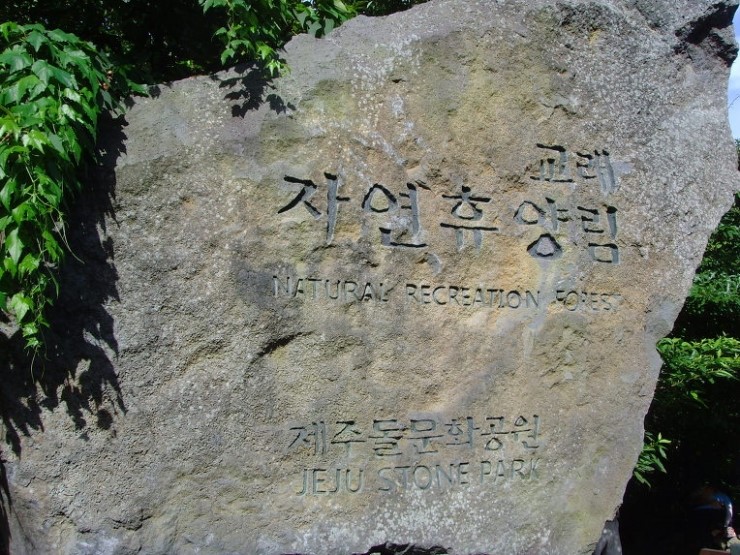4 자연전망대 이미지
