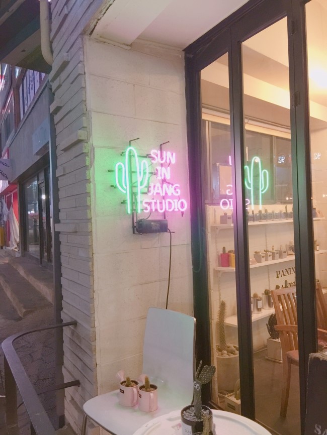 선인장스튜디오 이미지