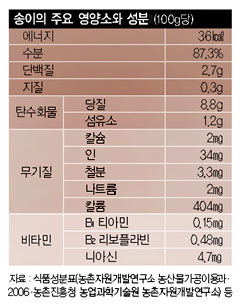 버섯과면역 이미지