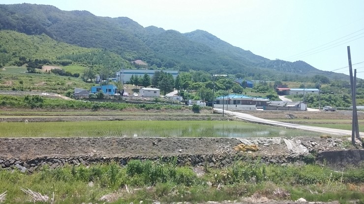 하늘재식당 이미지