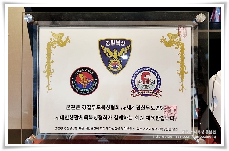 스타복싱총본관 이미지