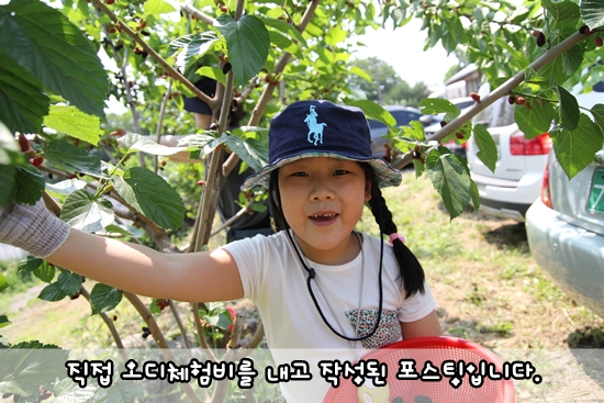 샘터농원 이미지