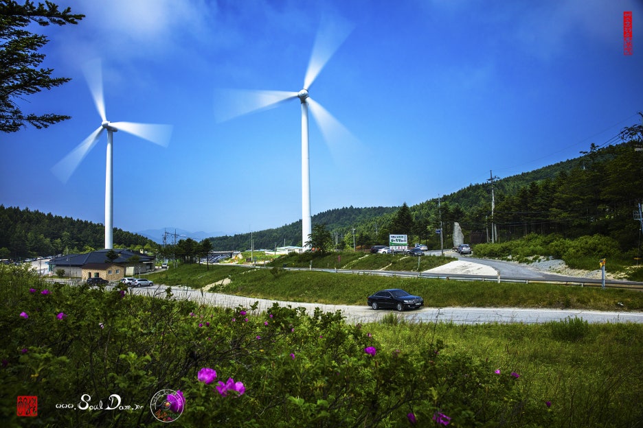 해당화스튜디오 이미지