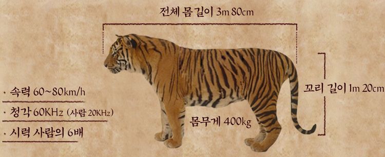 대호컴퓨터 이미지