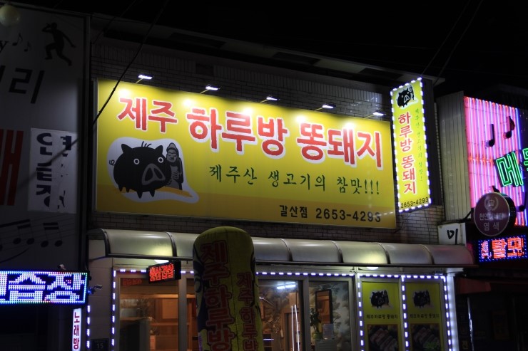 하루방똥돼지 이미지