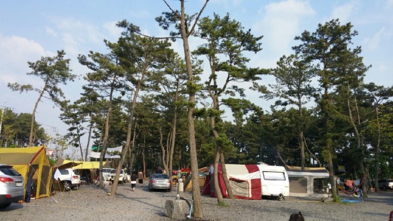 춘장대오토캠핑장 이미지