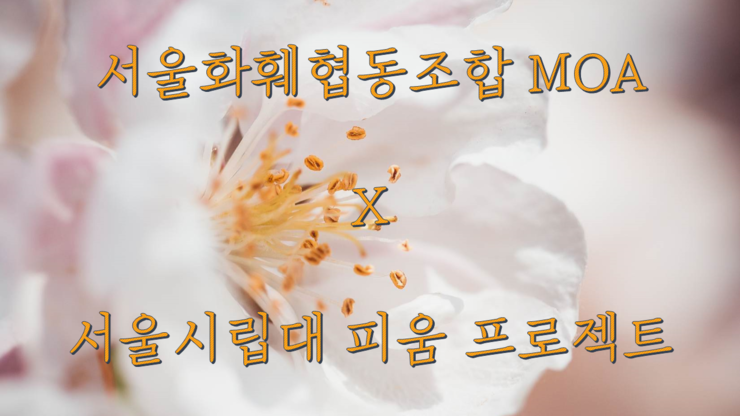 피움협동조합 이미지