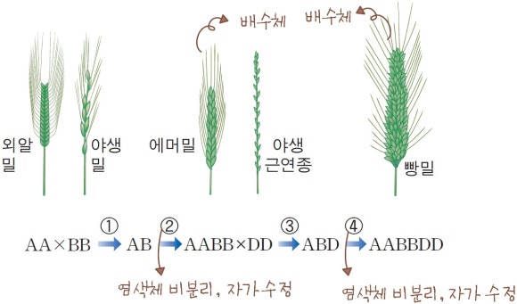 지구사 이미지