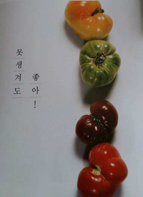 복덩이찐빵 이미지