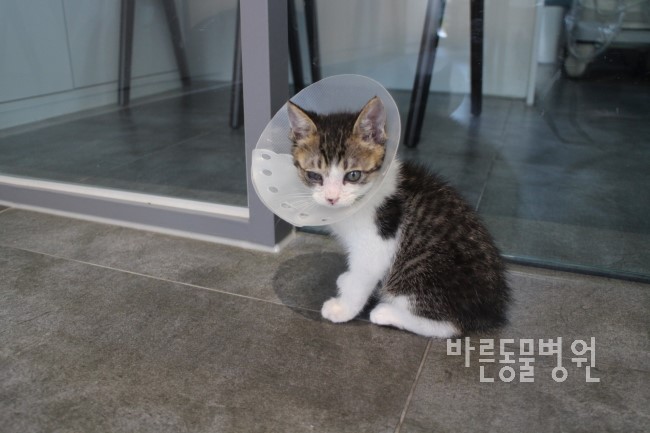 행복만복이 이미지