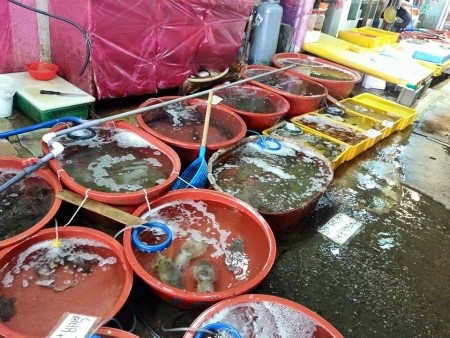 육자매젓갈 이미지