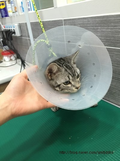 봉구헤어 이미지