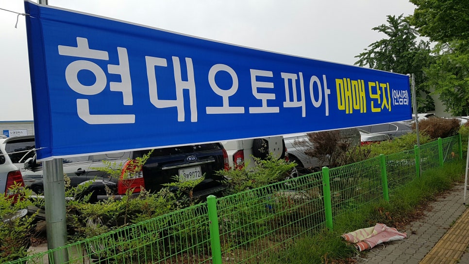 오토피아 이미지
