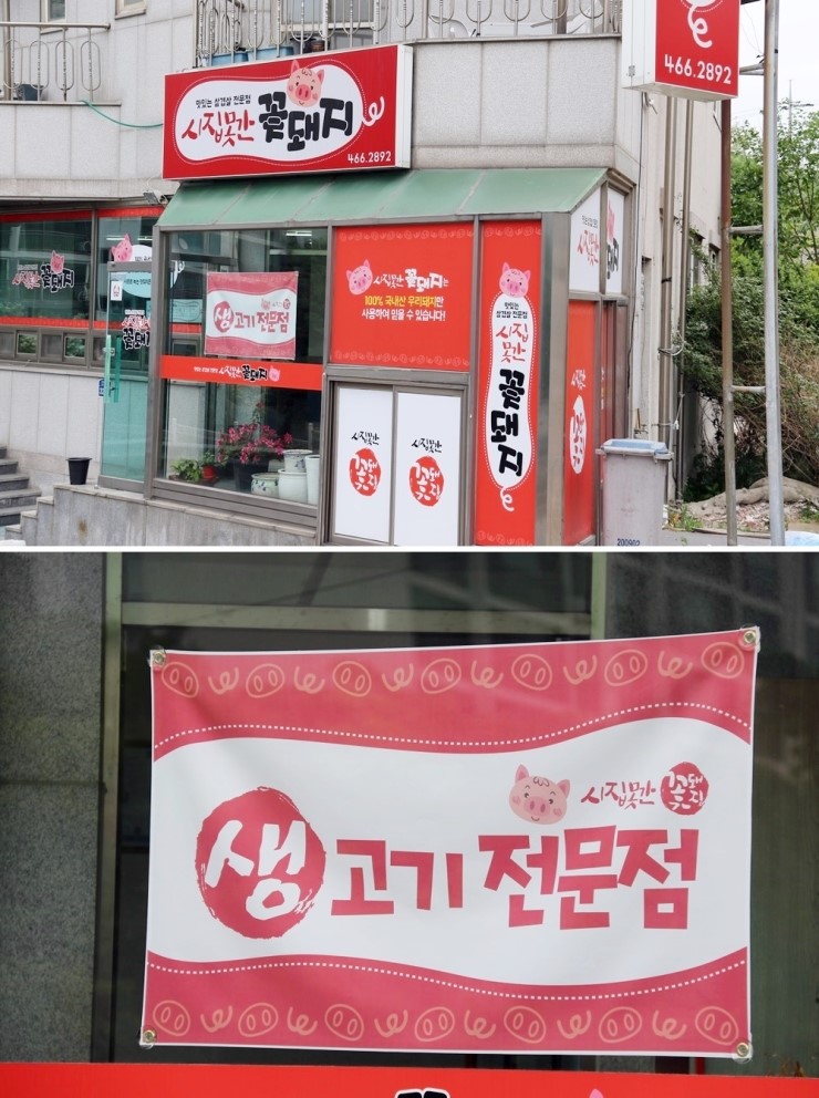 시집못간꽃돼지 이미지