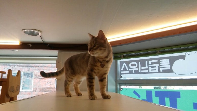 코코호텔 이미지