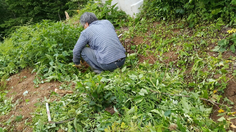 큰밭농원 이미지