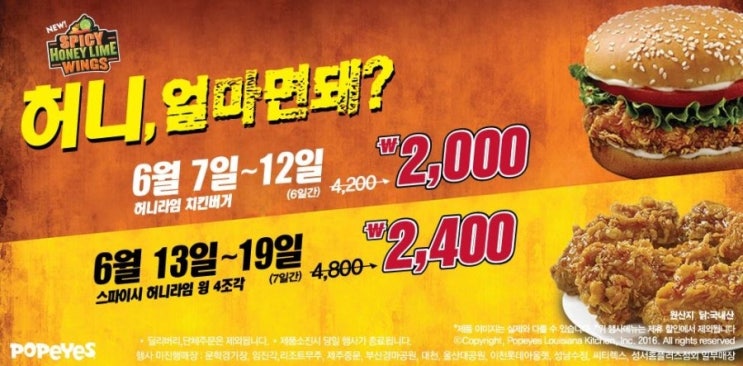 파파이스 이미지