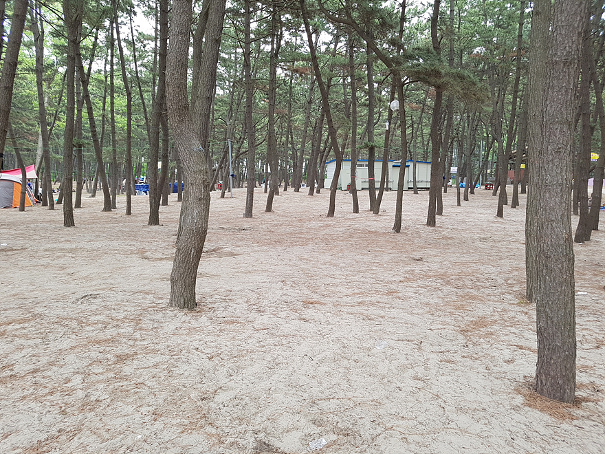 춘장대오토캠핑장 이미지
