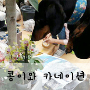 네일콩이 이미지