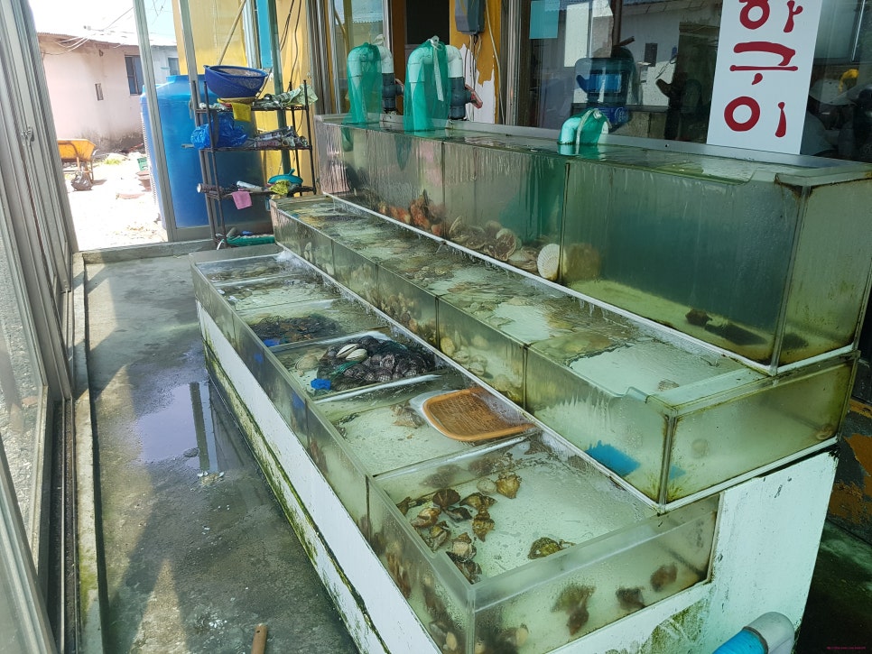 서해실비횟집 이미지