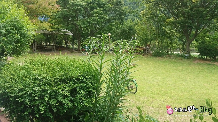 대자연레저본부 이미지