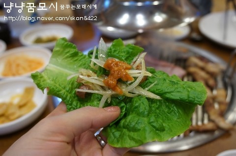 돈마당 이미지