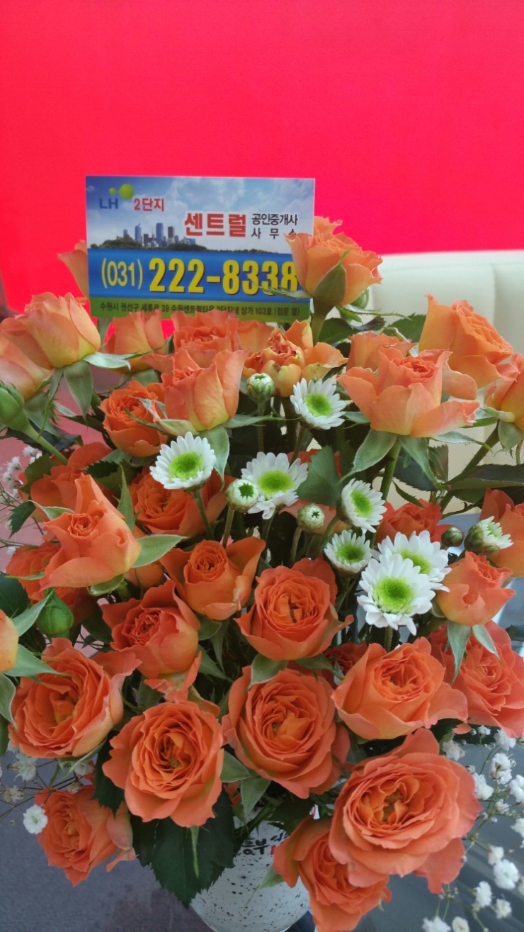 흥부익스프레스 이미지